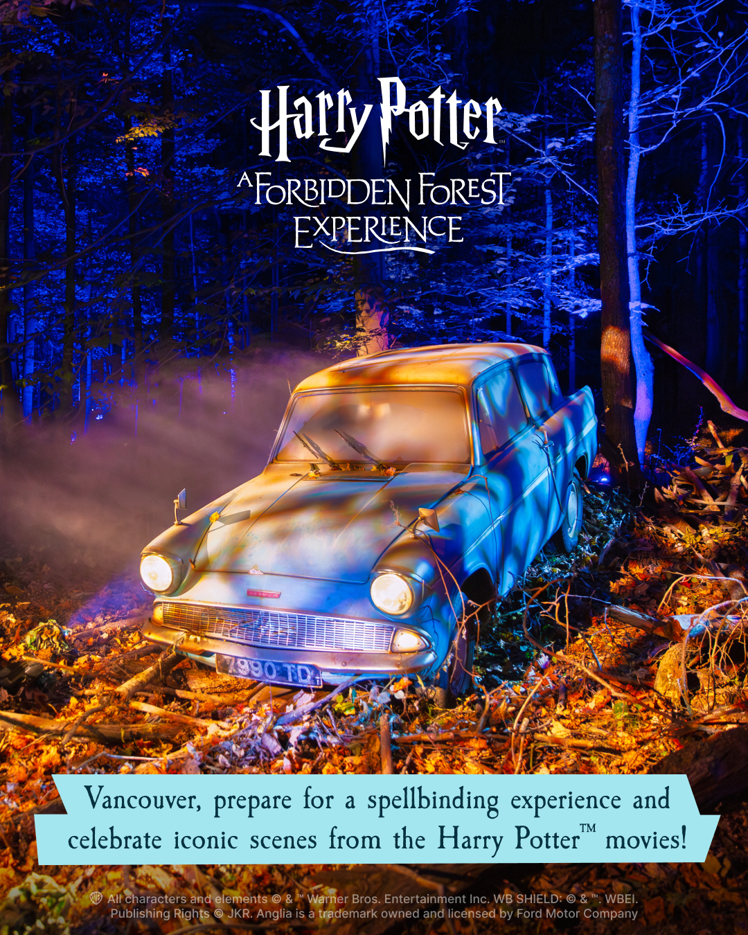 Harry Potter: A Forbidden Forest Experience | Rock 101